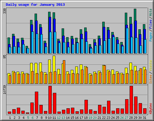 Daily usage for January 2013