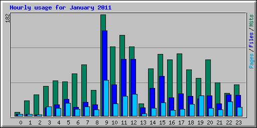 Hourly usage for January 2011