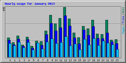 Hourly usage for January 2013