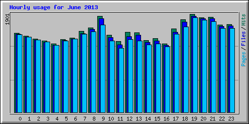 Hourly usage for June 2013