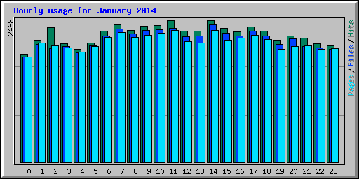 Hourly usage for January 2014